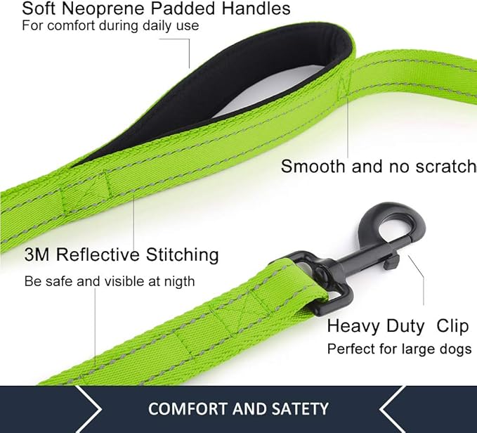 Plutus Pet Double Handle Dog Leash 4ft, Heavy Duty, Reflective Dual Handle Dog Leash for Safety Training, for Medium Large Dogs,2 Handle Leads(Green)