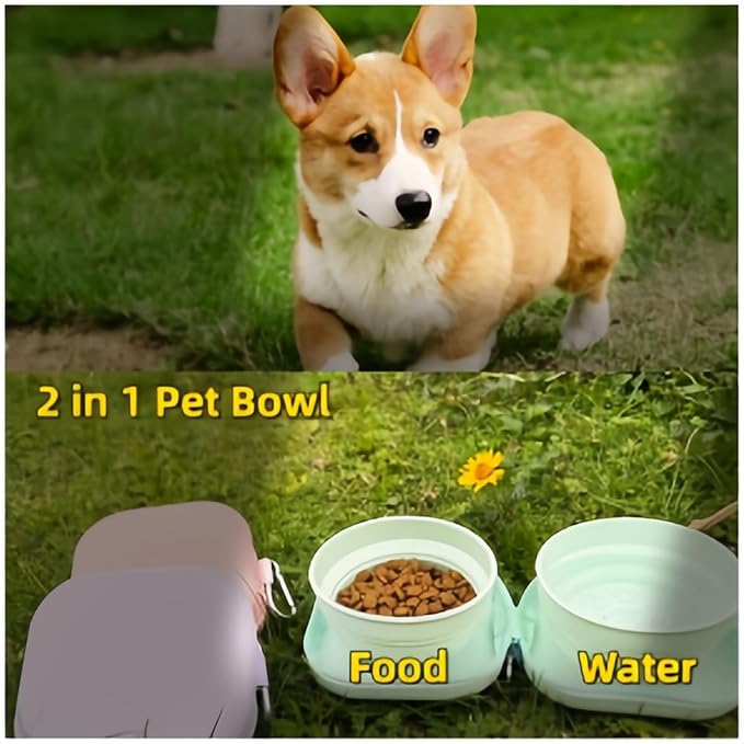 2-in-1 Collapsible Pet Bowl, Portable & Food-Grade for Dogs & Cats with Carabiner (Purple)