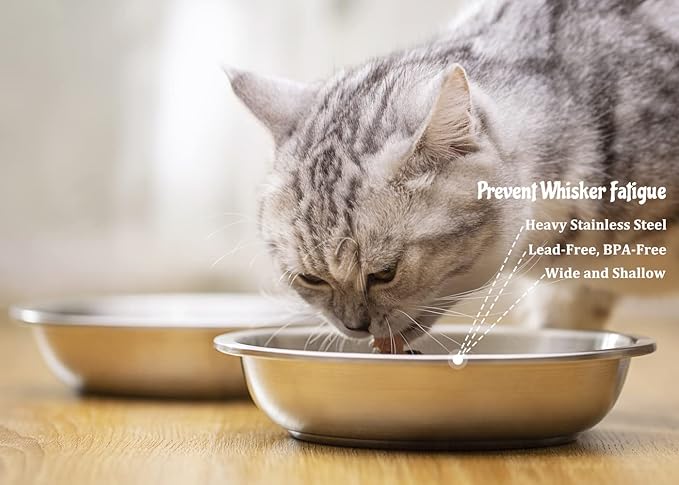 BiteKing Stainless Steel Cat Bowls 4 Pack, Whisker Fatigue Relief Cat Food Dish, Metal Shallow Wide Large Replacement Plate for Dog and Pet, Ideal for Raised Elevated Pet Feeding Station Stand, 5.5"