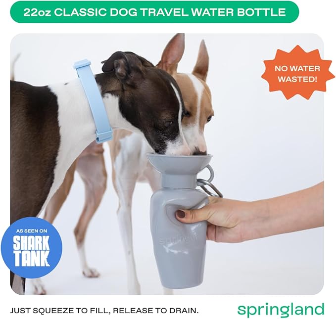Springer by Springland Dog Water Bottle | Portable Travel Water Bottle Dispenser for Dogs | Dog Gift Seen on Oprah's Favorite Things, Shark Tank | Leak-Proof Bottles | BPA-Free 22oz Gray