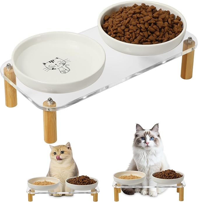 Elevated Cat Bowls for Indoor Cats – Modern Acrylic Cat Food Table with 2 Ceramic Dishes, Adjustable Height (4.05"/2.87"), Set of 1