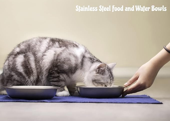 BiteKing Stainless Steel Cat Bowls 4 Pack, Whisker Fatigue Relief Cat Food Dish, Metal Shallow Wide Large Replacement Plate for Dog and Pet, Ideal for Raised Elevated Pet Feeding Station Stand, 7.1"