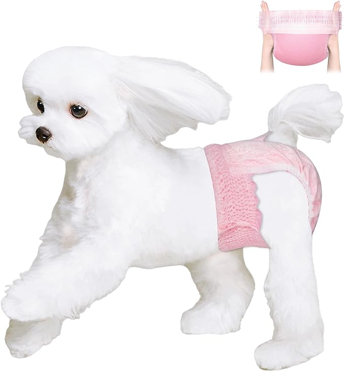 Ambreview Disposable Dog Diapers Female, Just Pull It Up, Doggie Diapers for Female Dogs, Strong Absorbency | Leak Proof, for Dogs in Heat | Elderly | Disabled, XL 10 PCS