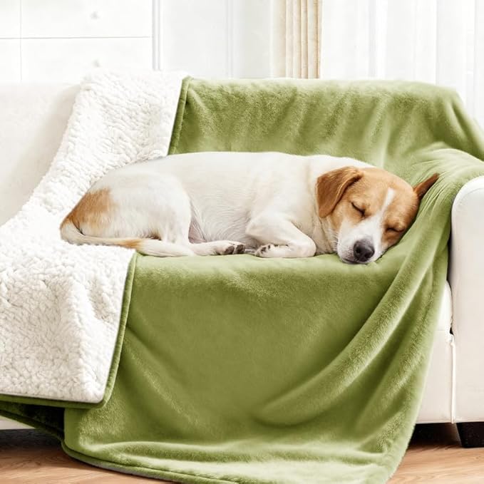 Lekereise Reversible Waterproof Dog Blanket, Super Soft Couch Cover for Dogs, Washable Leak-Proof Protector for Sofa Bed Car Seat, for Cats to Large Dogs (Green, 30" x 40")