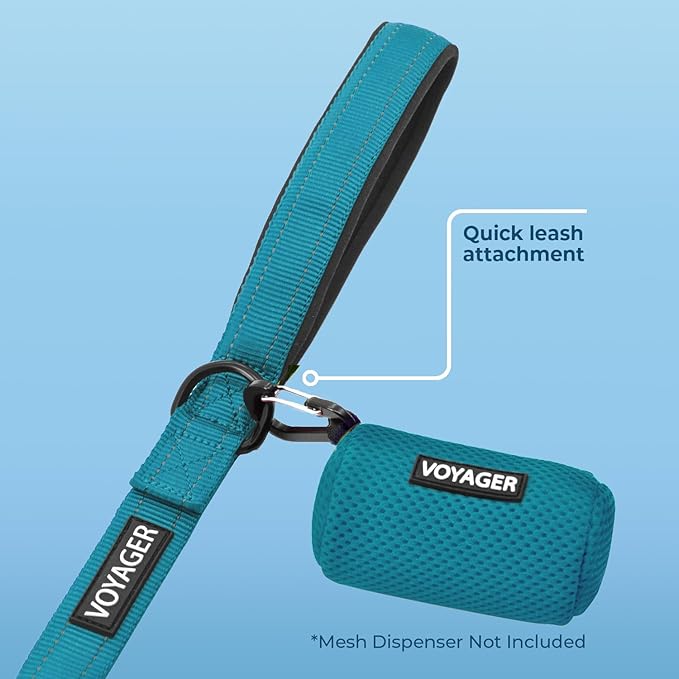Best Pet Supplies Voyager Reflective Dog Leash or Collar with Neoprene Handle, for Small, Medium, and Large Breed Puppies, Cute and Heavy Duty for Walking, Running and Training - Turquoise (Leash), L