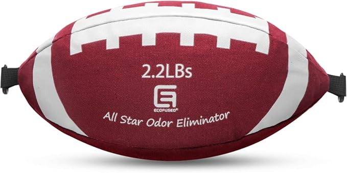 All-Star Odor Eliminator, Activated Charcoal Odor Absorber for Strong Odors in Car, Basement, Closet, 2.2 LB (1000 G) Extra Large Size for Small to Medium Spaces, Baking Soda Odor Absorber Deodorizer