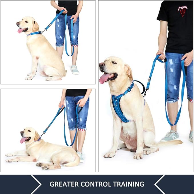 Plutus Pet Double Handle Dog Leash 5ft, Heavy Duty, Reflective Dual Handle Dog Leash for Safety Training, for Medium Large Dogs,2 Handle Leads(Blue)
