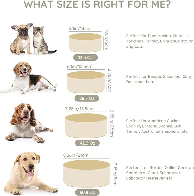SPUNKYJUNKY 60OZ Ceramic Dog and Cat Bowl, Modern Cute Weighted Food Water Bowl for Replacement Beige (2 Pack)