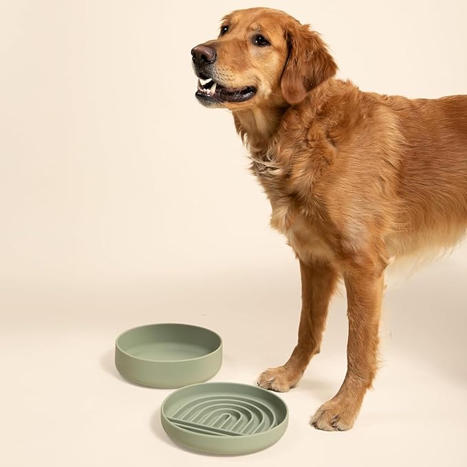 Should We Go? Dog Water Bowl - The Perfect Dish No-Spill, Less Mess Non-Tippable Water & Food Bowl Pure Silicone with Suction Cup Fits 8 Cups 9.5" Across x 2.5" Tall Ideal for All Pets, Large-Charcoal