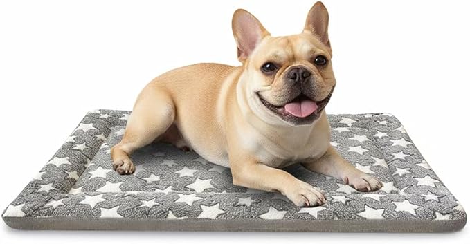 Dog Bed Mat, Dual-Sided Dog Crate Bed Mat - Ultra Soft & Machine Washable Kennel Pad for Small Dogs, All-Season Comfort Pet Bed for Crates, Travel, and Home, Gray 24 x 16 Inch