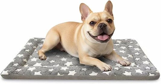 Dog Bed Mat, Dual-Sided Dog Crate Bed Mat - Ultra Soft & Machine Washable Kennel Pad for Small Dogs, All-Season Comfort Pet Bed for Crates, Travel, and Home, Gray 24 x 16 Inch