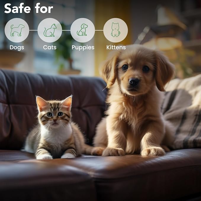 Best Shot Scentament Spa Botanical Body Splash, Detangler Spray, Body Spray for Pets, Cat and Dog Cologne Spray, Wild Orchid Vanilla, 8 Oz.