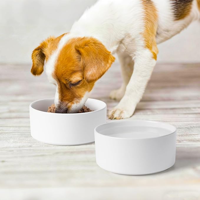 Ceramic Dog Bowls Replacement Set of 2, Compatible with Medium Elevated Stand, 28.75 oz Heavyweight Food-Grade Feeding Bowls for Small & Medium Dogs, Microwave & Dishwasher Safe (White, 3.6 Cups)