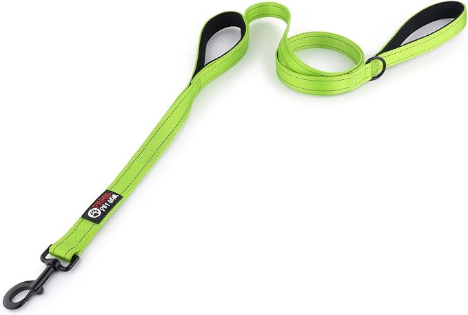 Primal Pet Gear Dog Leash 6ft Long,Traffic Padded Two Handle,Heavy Duty,Reflective Double Handles Lead for Control Safety Training,Leashes for Large Dogs or Medium Dogs,Dual Handles Leads(Green)