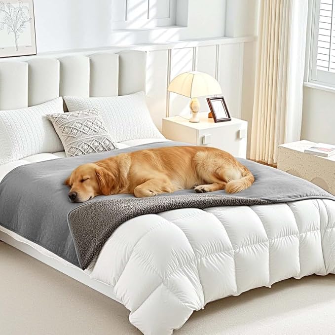 Lekereise Reversible Waterproof Dog Blanket, Super Soft Scratch-Resistant Pet Blanket, Washable Leak-Proof Cover for Sofa Bed Car Seat, for Cats to Large Dogs (Gray, 30" x 40")