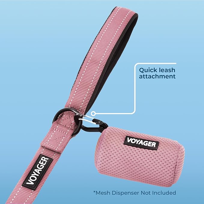 Best Pet Supplies Voyager Reflective Dog Leash or Collar with Neoprene Handle, for Small, Medium, and Large Breed Puppies, Cute and Heavy Duty for Walking, Running and Training - Pink (Leash), S