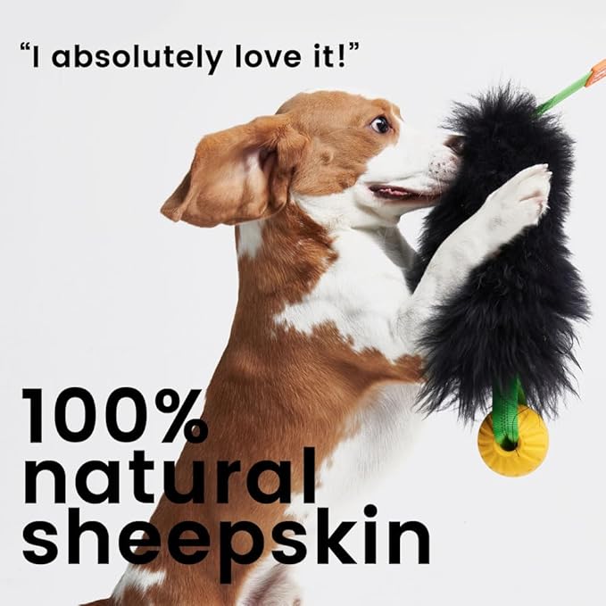 HOWGO Dog Rope Toy,Dog Bungee Chaser Toy 100% Sheepskin,Sheep Smell Tug Toy for All Breeds (Black, Long Without Ball)