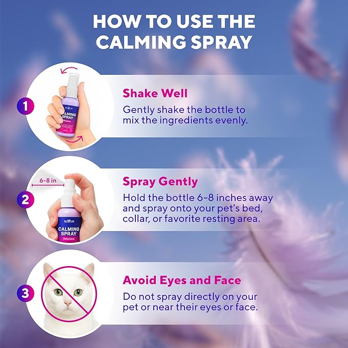 Calming Pheromone Spray & Scratch Repellent for Cats - Reduces Scratching Furniture, Pee - During Travel, Fireworks, Thunder, Vet Zone - Helps with Stress, Fighting, Hiding (60 ml (2 pack))