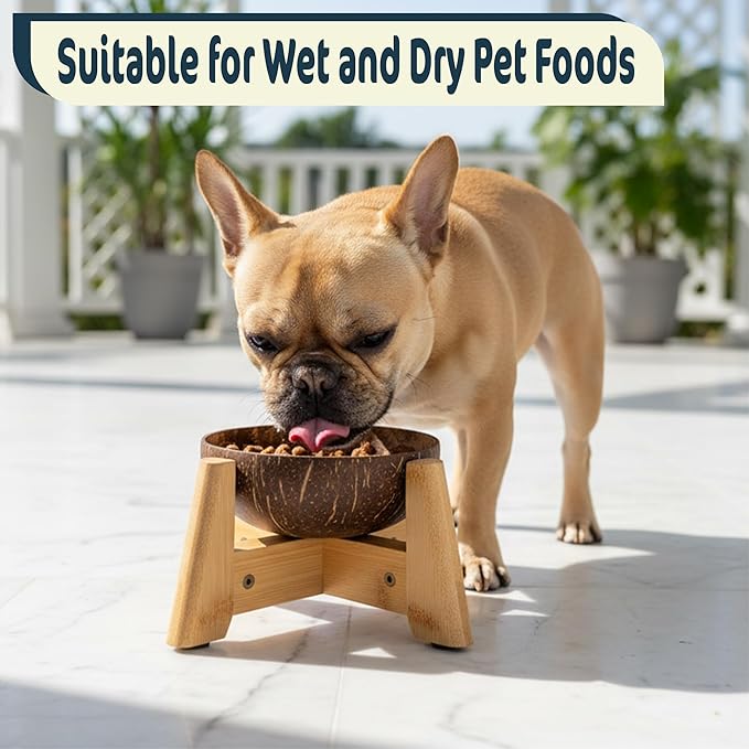 Dog Bowl for Cats and Small Dogs - All-Natural, Polished Coconut Shell Bowl with Wood Stand - Elevated/Raised 5-inch Total Height - Food-Contact Suitable