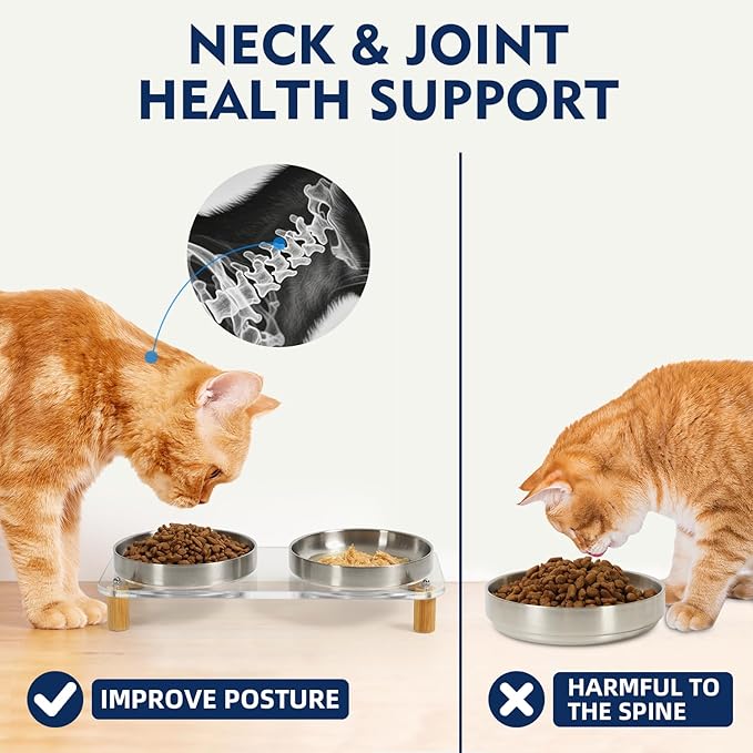Elevated Cat Bowls for Indoor Cats – Clear Acrylic Cat Food Table with 2 Stainless Steel Dishes, Adjustable Height (4.05"/2.87"), Set of 1