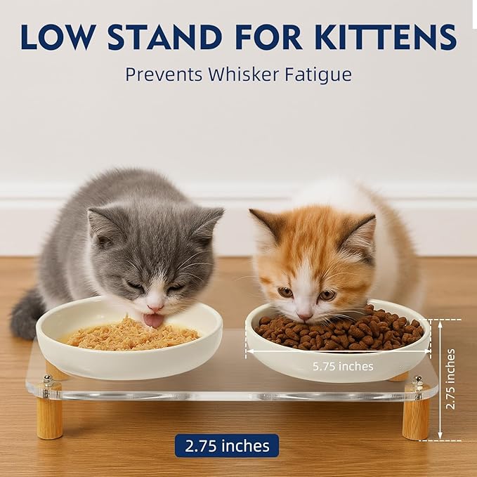 Elevated Cat Bowls for Indoor Cats – Modern Acrylic Cat Food Table with 2 Ceramic Dishes, Adjustable Height (4.05"/2.87"), Set of 1