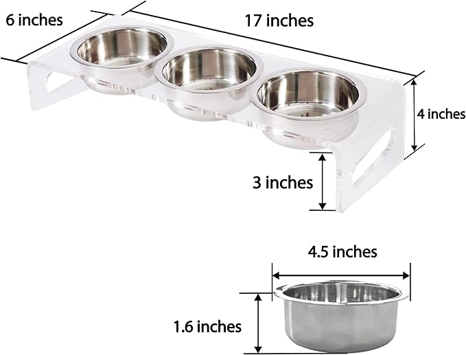 Tilted Raised Elevated Food and Water Bowls Stand for Cat or Small Dogs - Puppy's Clear Acrylic Stainless Steel 3 Dishes Holder for Boy or Girl Pet by WBhonghui (Clear-3bowls)