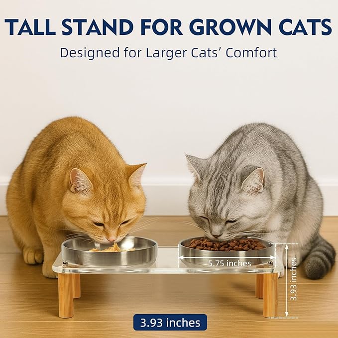 Elevated Cat Bowls for Indoor Cats – Clear Acrylic Cat Food Table with 2 Stainless Steel Dishes, Adjustable Height (4.05"/2.87"), Set of 1