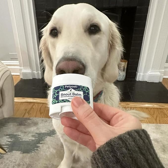 Petpost | Snout Balm for Dogs - Nourishing Snout Soother Balm Heals Dry Dog Noses with Moisturizing Ingredients - Organic Coconut Oil, Jojoba Oil, and Shea Butter 0.64 oz.