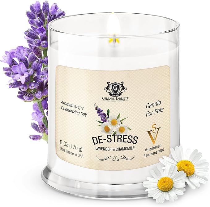 Pet Odor Eliminator Candle Lavender and Chamomile Scented Candle, Pet Candles Odor Eliminator, Soy Wax Calming Candles Aromatherapy, Dog & Cat Friendly Air Fresheners by Gerrard Larriett
