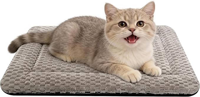 Dog Bed Mat – Soft & Comfortable Dog Kennel Pad for Crate – Durable Crate Bed & Mat for Dogs & Cats (Light Gray, XS(18"*14"*1.5"))
