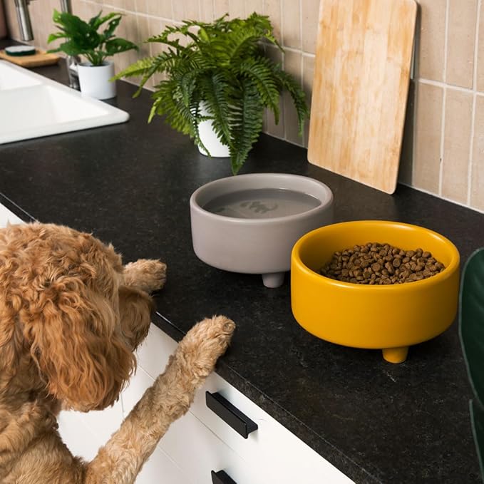 Waggo Uplift Ceramic Dog Bowl for Small Medium and Large Breeds - Heavyweight and Durable Pet Food and Water Dish Crock, Dishwasher Safe, Modern, Elevated Feeder (Clay, Large)
