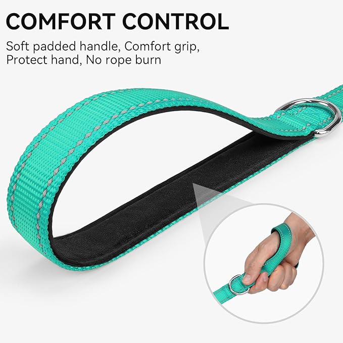 Joytale Dog Leash, 4 FT Double-Sided Reflective, Padded Handle Nylon Heavy Duty Leashes for Medium & Large Dogs Walking, Teal
