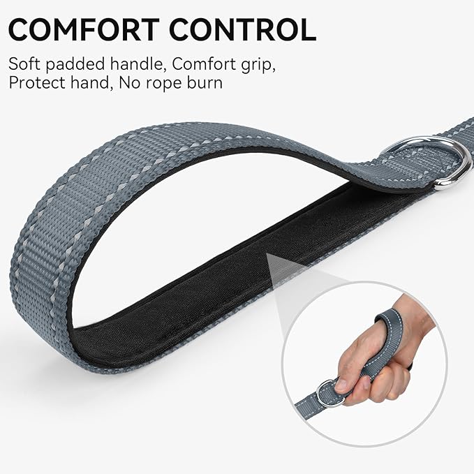Joytale Dog Leash, 5 FT Double-Sided Reflective, Padded Handle Nylon Heavy Duty Leashes for Small Dogs Walking, Grey