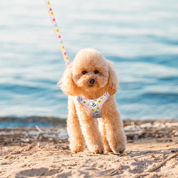 EXPAWLORER Small Dog Harness and Leash Set - Cute Puppy Harness Leash Dog Collar with AirTag Holder Silicone Case, Soft Padded Step in Pet Vest Reflective for Outdoor Walking, Floral XS
