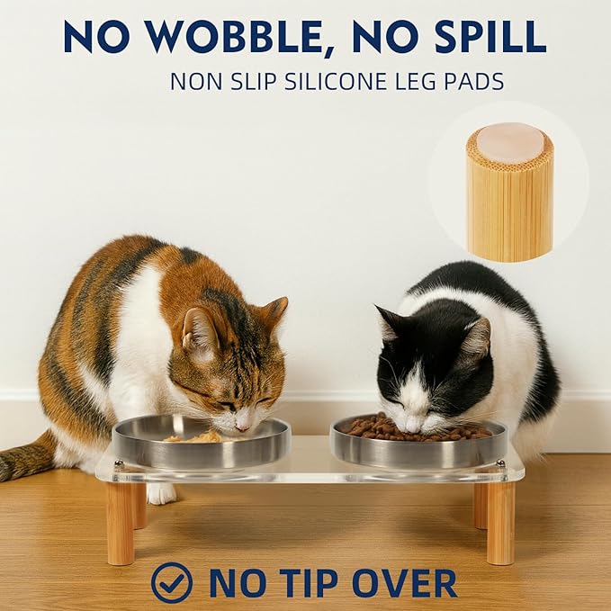 Elevated Cat Bowls for Indoor Cats – Clear Acrylic Cat Food Table with 2 Stainless Steel Dishes, Adjustable Height (4.05"/2.87"), Set of 1