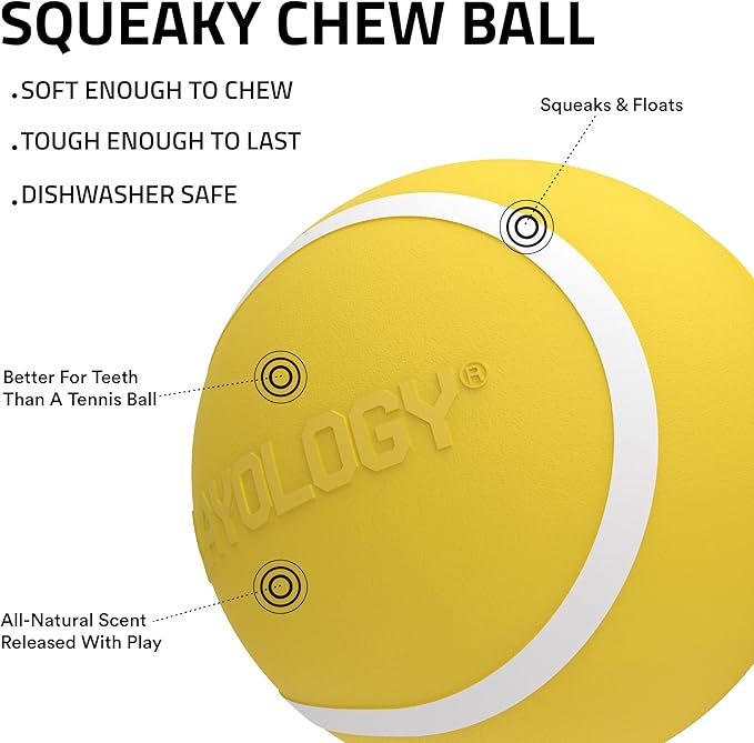 Playology Dog Toys | Squeaky Chew Ball - Bouncy Durable Floating Fetch Ball for Dogs | Medium Apple Cider Limited Edition Fall Scented Toy - Easy to Clean and Made from Non Toxic Materials