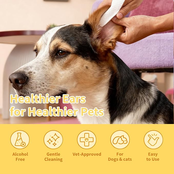 MIOSSZI 260 Pcs Pet Cleaning Wipes Kit for Dogs & Cats Daily Cleaning Paws, Face Tear Stain & Full Body & Sensitive Skin, Gentle & Unscented, Hypoallergenic Ingredients Extra Thick Pet Grooming Wipes