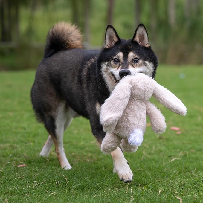 Best Pet Supplies Interactive Squeaky Dog Chew Toy, Ideal Dog Toys for Chewers, Small, Medium & Large Dogs, and Fetch Lovers - Bunny (Beige), Small