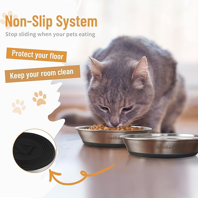 Wellbro Cat Bowls, 6 Pcs Stainless Steel Bowls for Food and Water, Whisker Fatigue Shallow Non-Slip Cat Dishes Plates for Small Dog Puppies Cats