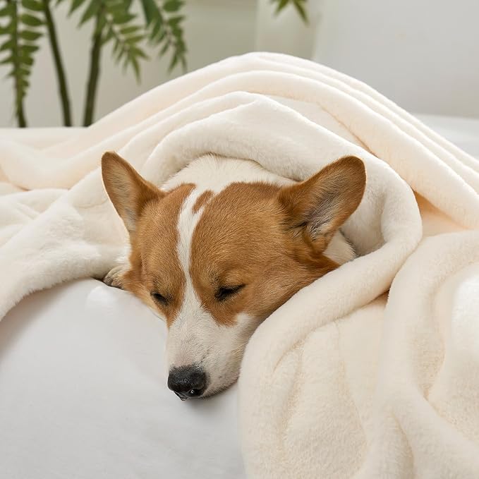 COZY KISS Faux Fur Throw Blanket for Couch, Ultra Soft Waterproof Pet Blanket, Cozy Warm Plush Blanket for Sofa Bedroom Living Room, Liquid Pee Proof for Large Dog or Cat, 50x60 inch, Beige
