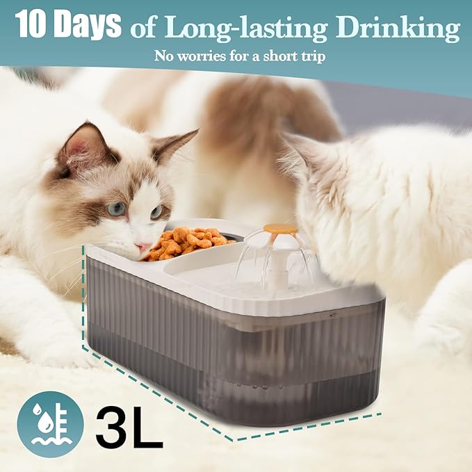 Cat Water Fountain - Super Quiet Automatic Pet Water Dispenser, 100oz/3L with Stainless Steel Cat Bowls and Long Life Span Pump