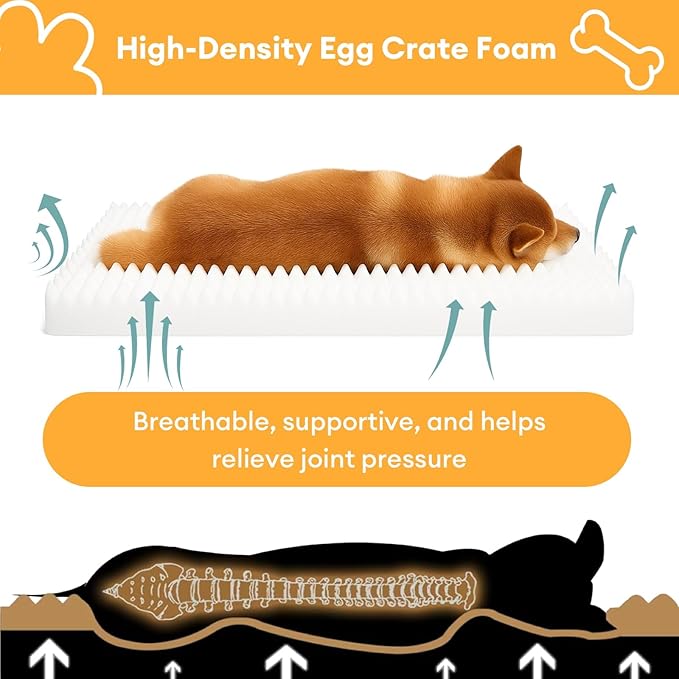 FUNNYFUZZY Orthopedic Dog Bed – Washable Dog Bed with Double Layer Plush Cushion Sofa Style Design with Bolstered Sides for Small Medium and Large Dogs Removable Cover L Size (31.5"x24.4"x7.1") Beige