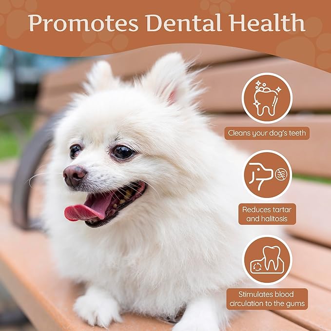 Wildfang® Coffee Wood Dog Chew, XS - Tough Chew Toys for Aggressive Chewers, Dog Teething Toys for Puppies, Training for Chewing Muscles, Coffee Tree Sticks for X-Small Dogs (Under 22 lbs), Pack of 3