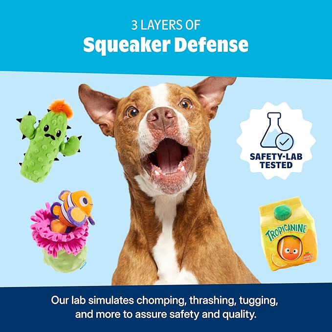 Barkbox Chicky and Woofles to Go Flying Disc Dog Toy | Fluff-Free Crinkle Disc with T-Shirt Rope Edge | Durable Fetch & Tug Toy for Dogs & Puppies