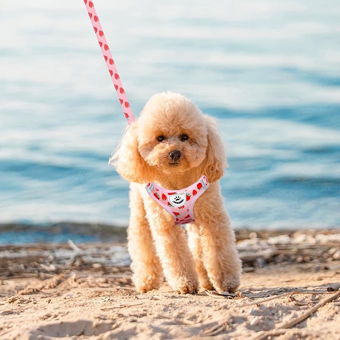 EXPAWLORER Small Dog Harness and Leash Set - Cute Puppy Harness Leash Dog Collar with AirTag Holder Silicone Case, Soft Padded Step in Pet Vest Reflective for Outdoor Walking, Strawberry XXS