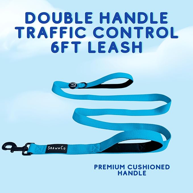 ShawnCo Dream Walk Dog Leash- Premium, Nylon Pet Leash with Soft Neoprene Handle for Small, Medium and Large Dogs (ICY Lilac, M/L 6FT w/ 2 Handles)