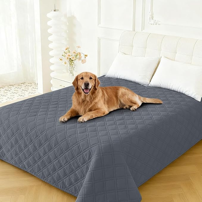 CYCMACO Waterproof Couch Covers for Pets, Waterproof Dog Bed Cover, Anti-Slip Soft Dog Blankets, Couch Cover for Dogs Washable, Pet Blanket for Puppy Large Dogs Cat (82x82 Inch, Dark Grey)
