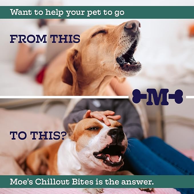 Moe’s Calming Chews for Dogs 90ct – Natural Anxiety Relief with Hemp, Chamomile, and Tryptophan – Calming Dog Treats for Separation, Fireworks, Travel and Storms (Chicken)