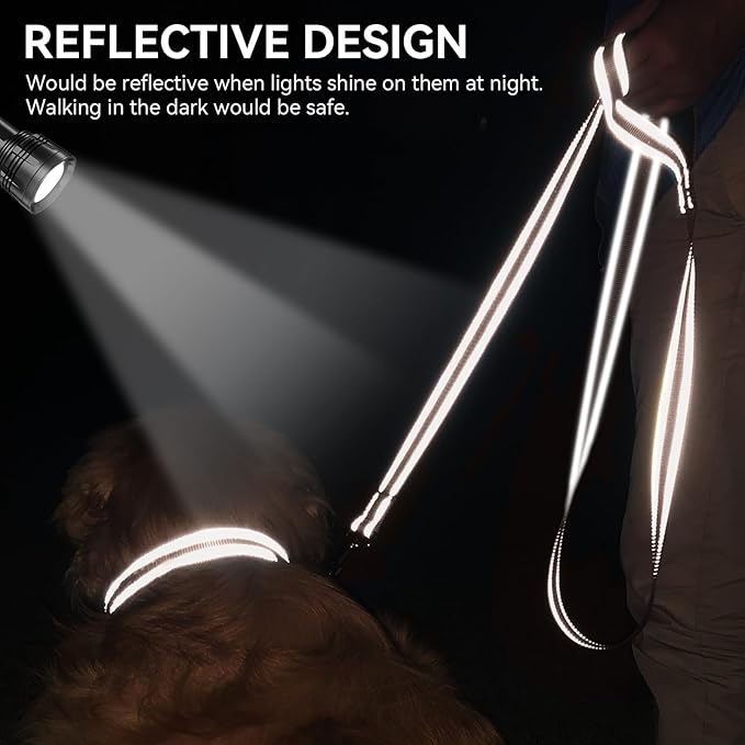 Joytale Double-Sided Reflective Dog Leash, 4 FT, Padded Handle Nylon Heavy Duty Leashes for Medium & Large Dogs Walking, Brown