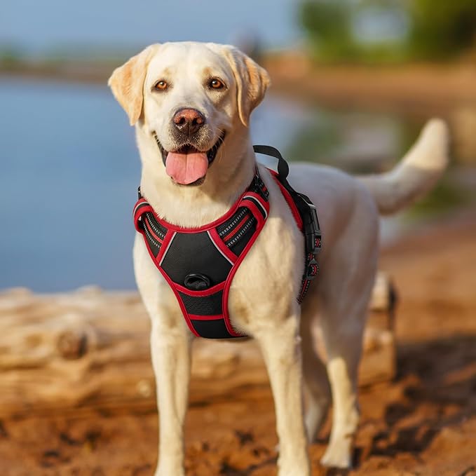 rabbitgoo Dog Harness No Pull with 2 Leash Clips, Adjustable Soft Padded, Reflective Oxford No Choke Pet Vest with Easy Control Handle for Small Dogs, Black & Red, S